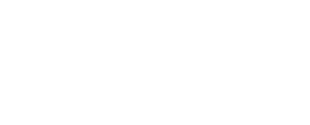 Partner company 1